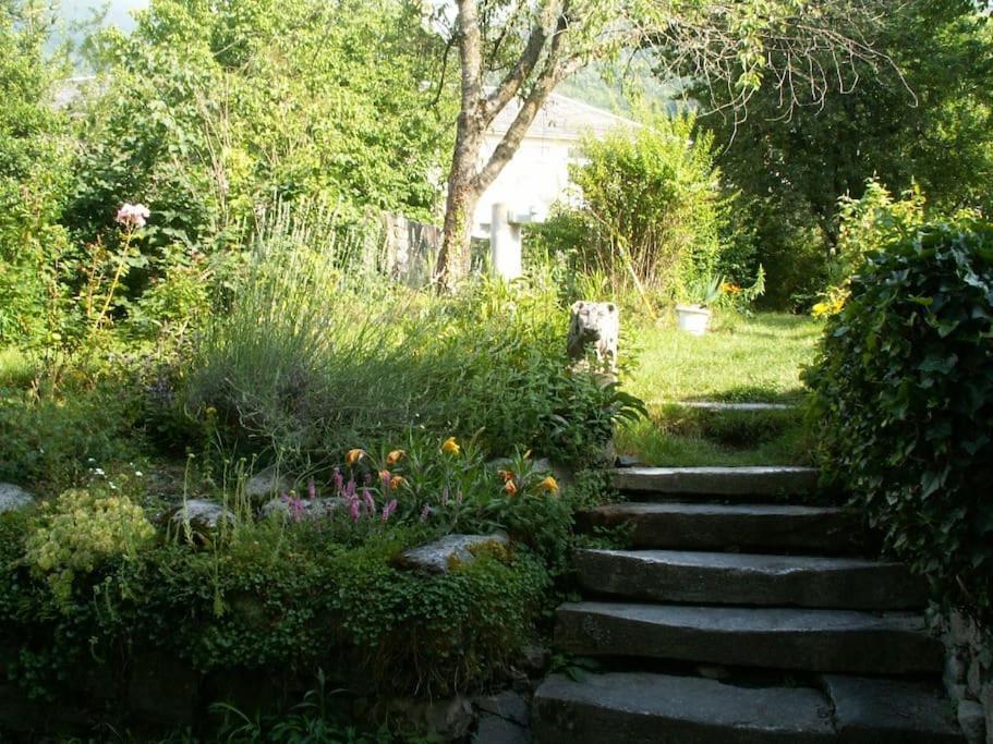 Magnifique Maison De Maitre Du 18E Avec Jardin لوز سانت سوفير المظهر الخارجي الصورة