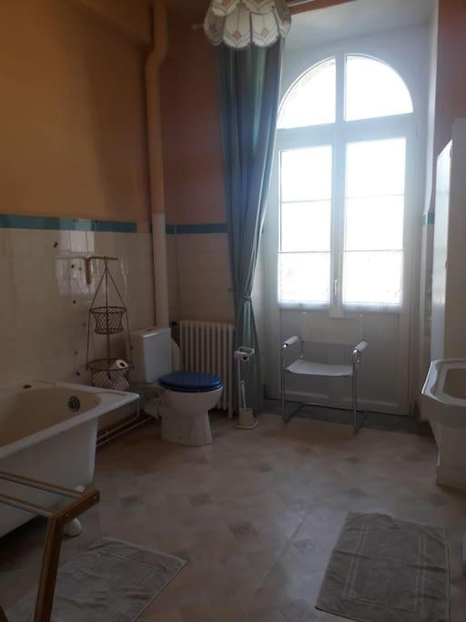 Magnifique Maison De Maitre Du 18E Avec Jardin لوز سانت سوفير المظهر الخارجي الصورة