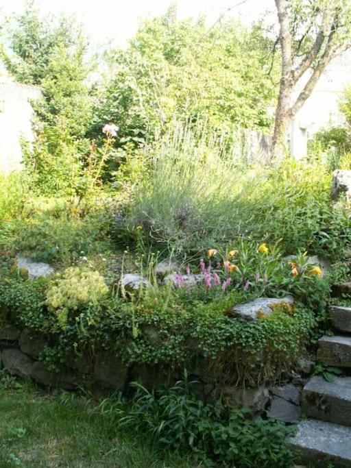 Magnifique Maison De Maitre Du 18E Avec Jardin لوز سانت سوفير المظهر الخارجي الصورة